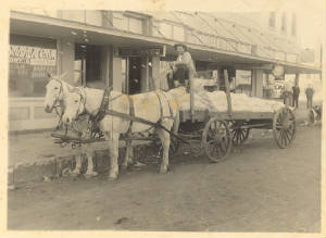 webassets/SedwickCook.JPG